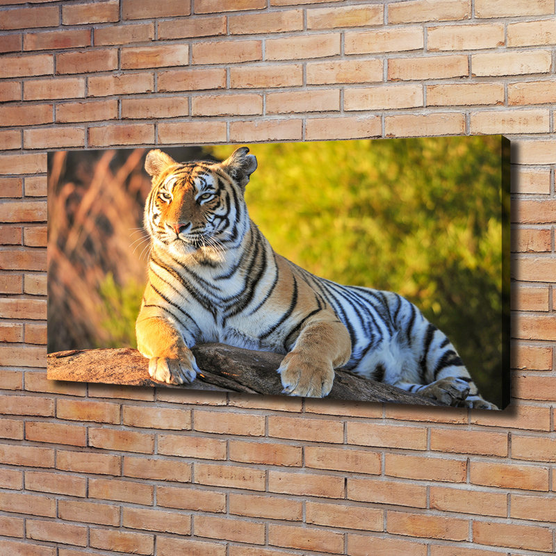 Portrait Of A Tiger - No Frame Print on Canvas