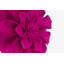 Housse de coussin Floral-88582381-88582385