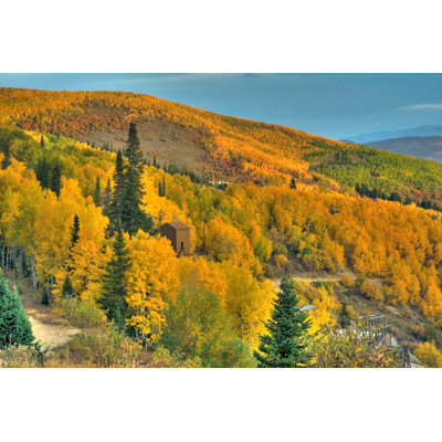 Fall Aspens at Empire Mine by Rhyman007