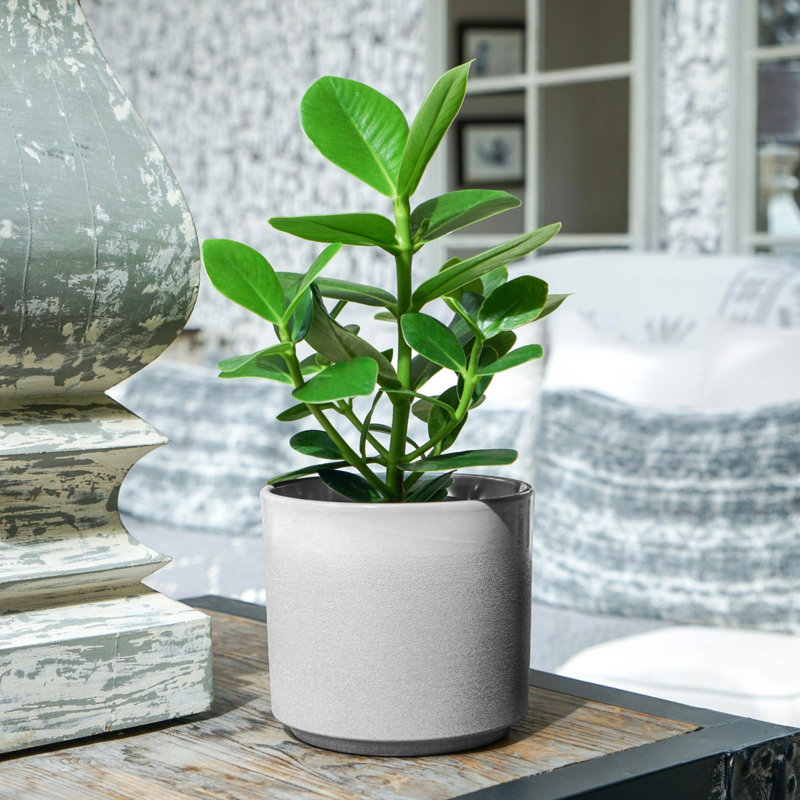  Leon Granite Effect Indoor Plant Pot, 27cm H x 32cm W x 32cm D, Granite