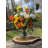 Sunflower and Rose Mixed Arrangement in Vase