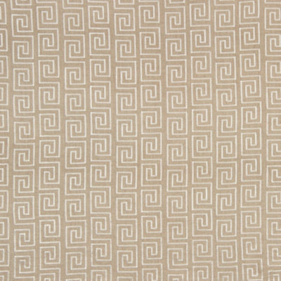 Tissu Crazy Maze
