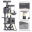 Amadahy 158cm H Cat Tree-268267866