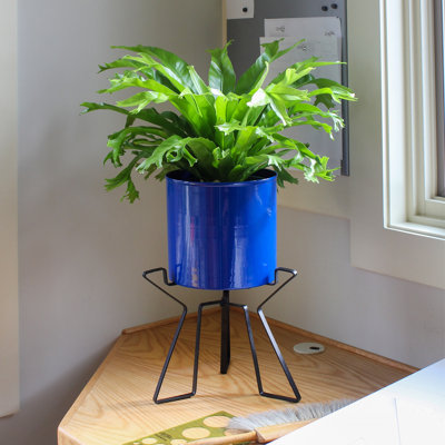 Metal Pot Planter