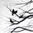 Birds and Branches Silhouette Tablecloth - Monochrome Decor