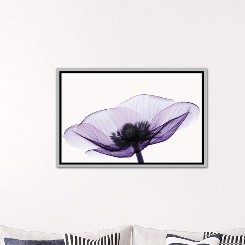 «Anemone II» par Robert Coop - reproduction de photo, H 18 po x l 26 po x P 1,5 po, Toile avec cadre argenté
