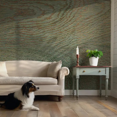 Rustic Green Weathered Wood Grain Wallpaper Farmhouse Natural Textured Look Wall Design
