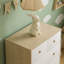 Kayshia 5 Drawer Chest-1624088881