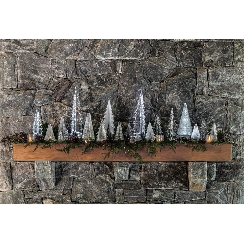 Echo Lake Evergreen, 14 inch