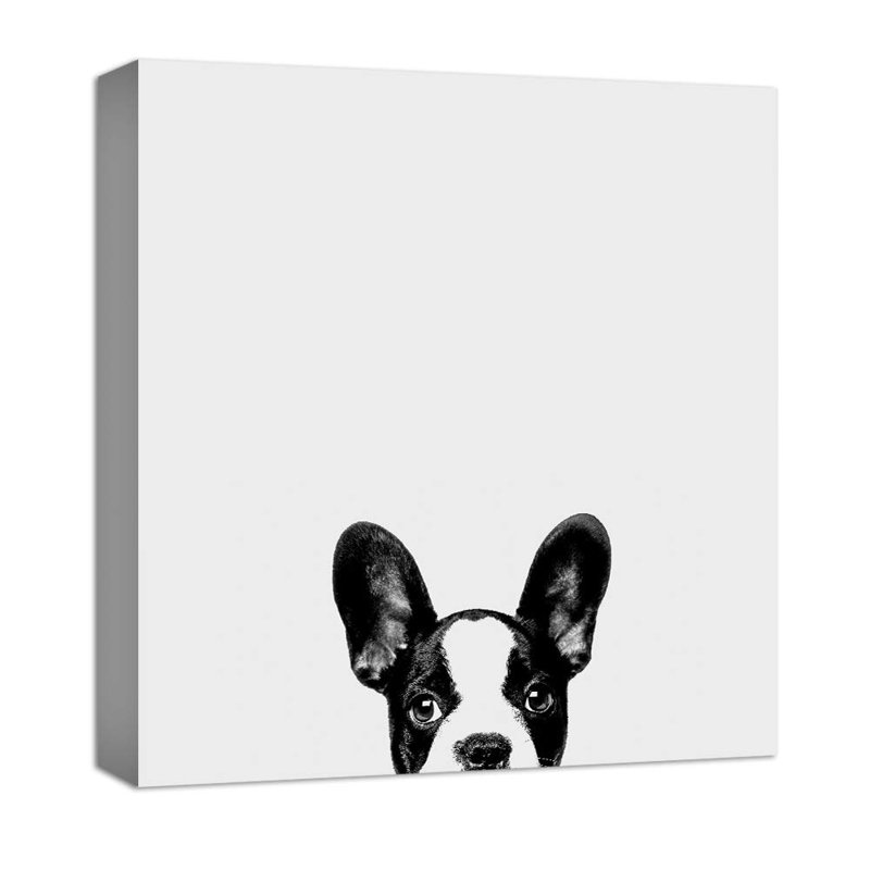 Bouledogue français sur toile, H 12 po x l 12 po x P 1,5 po