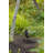 Hinkley Accent LED Spot Light Low Voltage