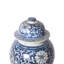 Handmade Ginger Jar