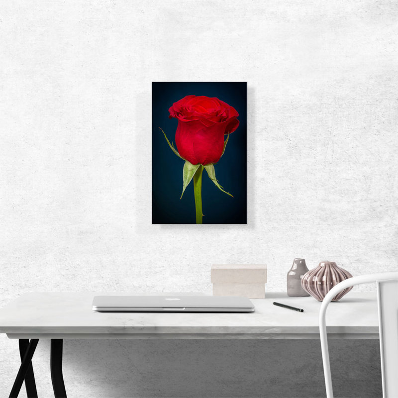 «Rose Flower Home Decor», reproduction de photo sur toile tendue, H 18 po x l 12 po x 1,5 po