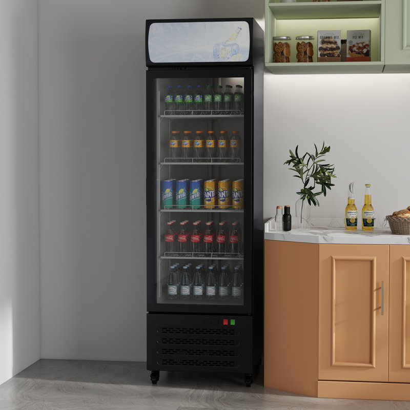 11.3 Cu.Ft Commercial Display Refrigerator with Adjustable Shelves and LED Lighting for Store, Black