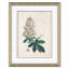 Aesculus Hippocastorum & Bristly Locust Giclee Print by Paul Cezanne