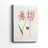 Two Tulips I -Gallery Wrapped Cavas-1124639128