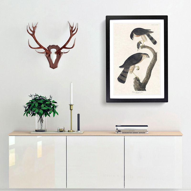 Sharp-Shinned Hawks by John Audubon - Picture Frame Painting Print, 48cm H x 36cm W x 2cm D, Black Framed