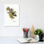 Oregano by Asia Jensen - Wrapped Canvas Gallery-Wrapped Canvas Giclée-935274478