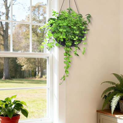 Jardinière suspendue de 13,4 pouces inspirée du rotin, grande capacité, réservoir d'eau résistant à la pourriture des racines avec indicateur de niveau d'eau, double usage pour la décoration intérieure et de balcon