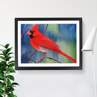 Watercolour Cardinal Bird Vol.1 - Single Picture Frame Painting