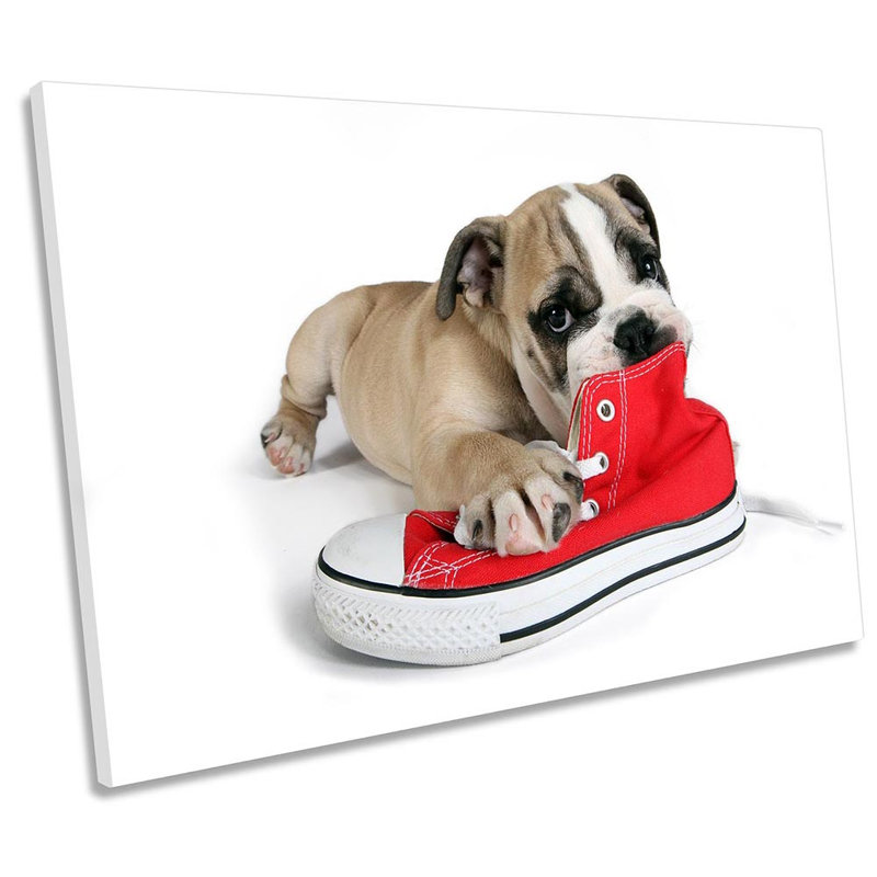 British Bulldog Puppy Shoe 1 Piece Wrapped Canvas Wall Art, 30.5cm H x 45.7cm W x 2cm D