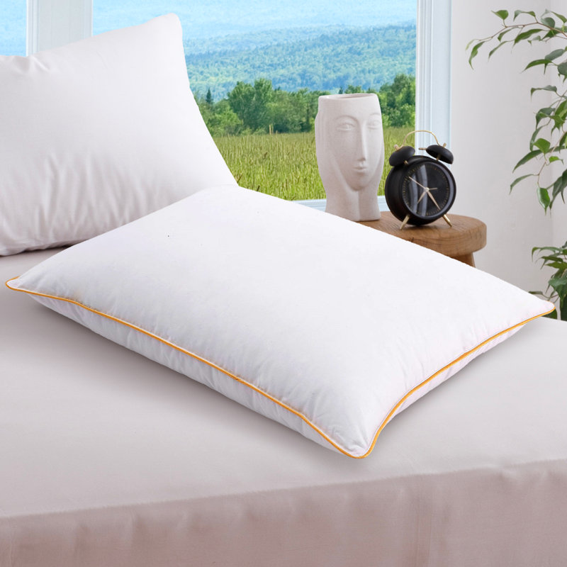 Oreiller de soutien ferme Norvin Feathers, Standard