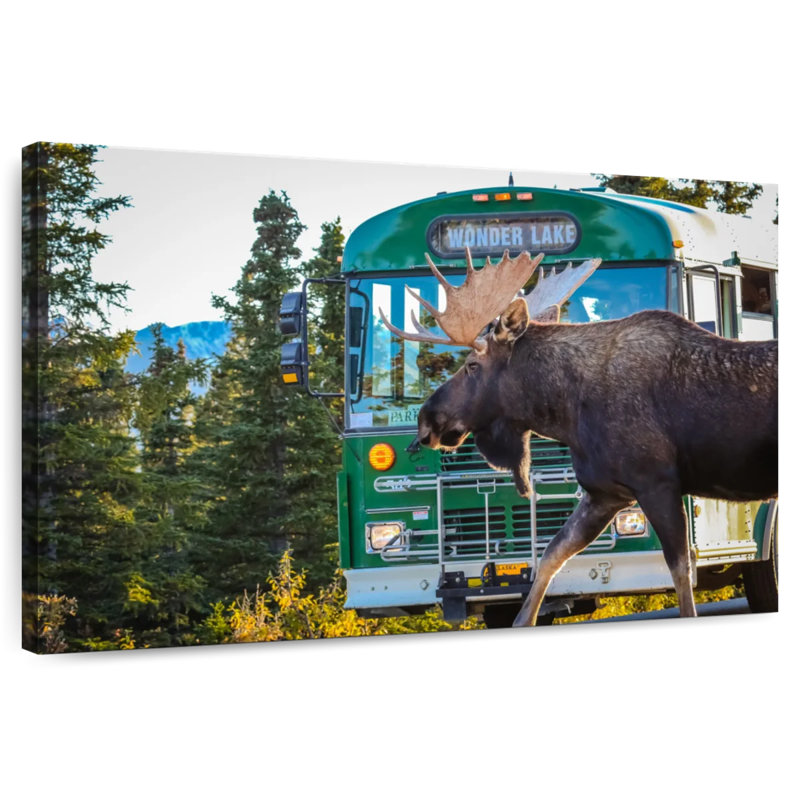 Crowle Denali Moose, 32" H x 48" W