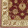 Oriental Indoor Rug