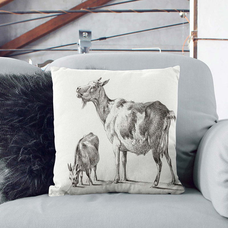 Square Throw Cushion, 55cm H x 55cm W x 20cm D, Black