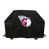 LMB Indians de Cleveland