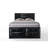 Lochian Storage Standard Bed-234533636-219091518