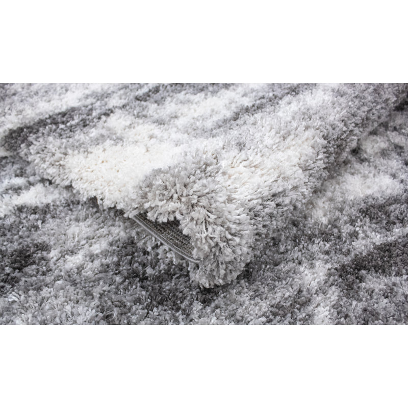 Tapis d'intérieur gris anthracite à poils longs Alban, Tapis de couloir 2 pi 6 po x 8 pi
