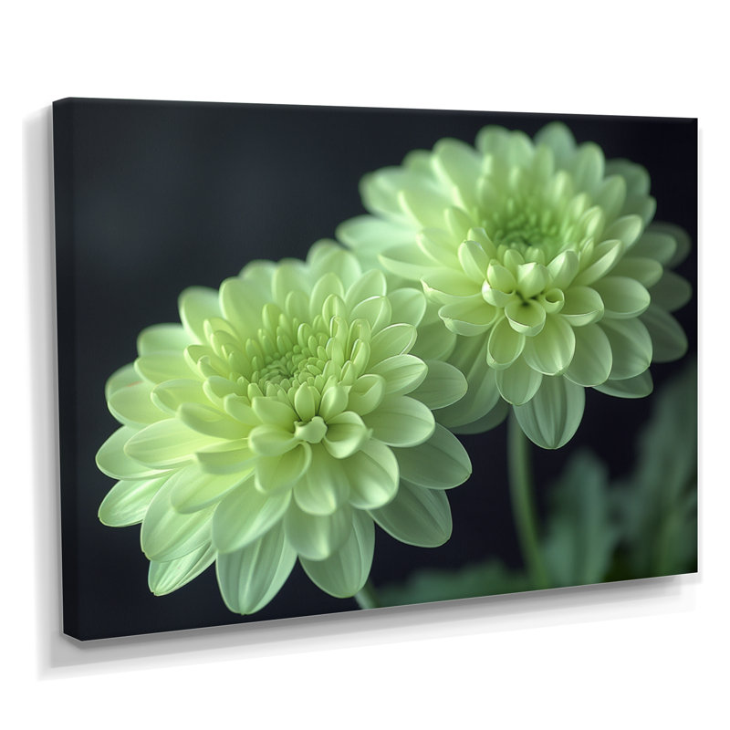 «Green Monochrom Mums Flowers Bouquet I», art mural «Mums», Cadre flottant brun, bois massif, H 16 po x l 32 po x P 1 po
