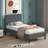 Upholstered Platform Bed