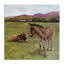 «Donkey Duo in Pasture Canvas», conception de Patricia Reynolds-333625381