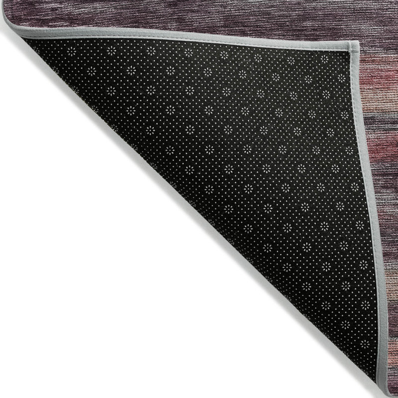 Tapis intérieur / extérieur lavable Doravine, 2 pi 6 po x 3 pi 10 po