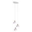 Renmarco Contemporary 3-Light Cluster Pendant-370193683-370193686