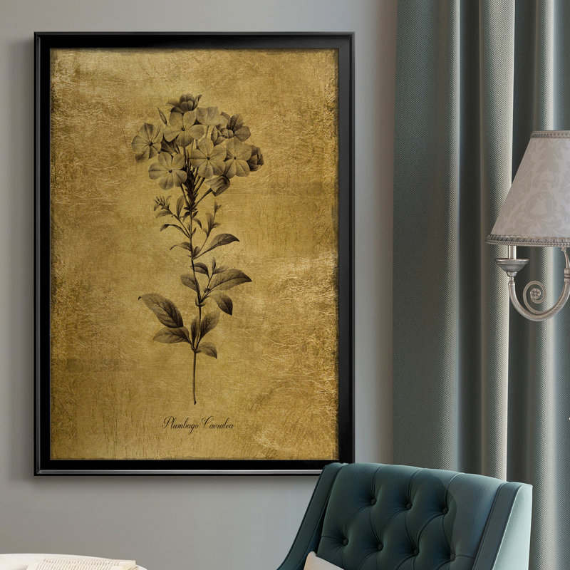 Ameelya, croquis dorés botaniques II, impression sur toile encadrée, H 26,5 po x l 36,5 po x P 1,5 po, Noir