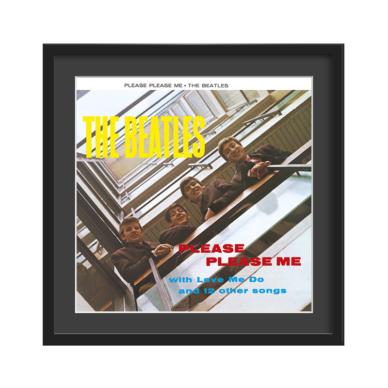 Single Picture Frame Print