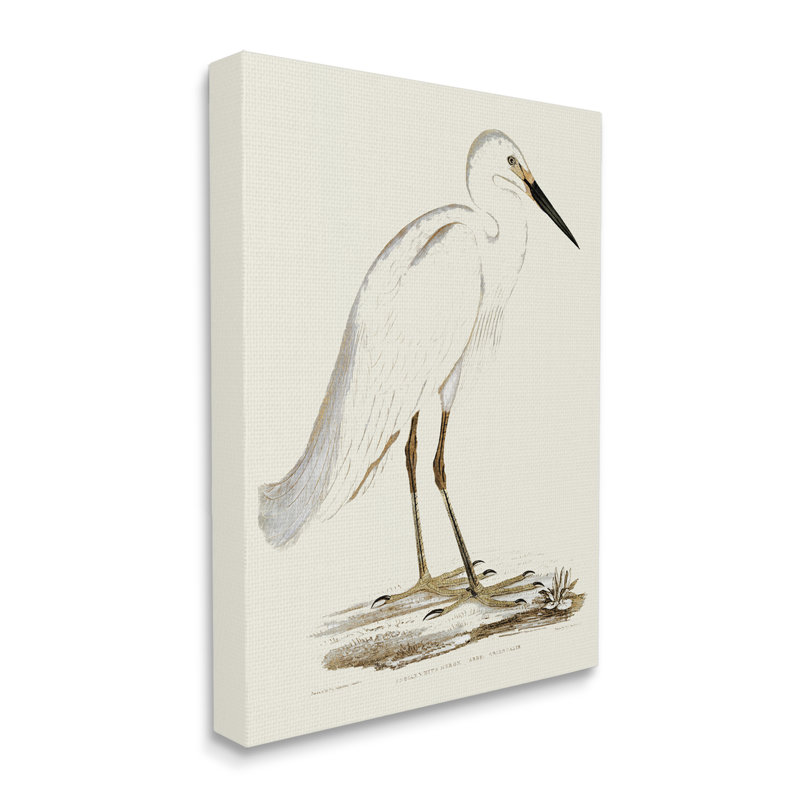 Illustration rétro d'une aigrette dans un marais, H 48 po x l 36 po, Toile tendue