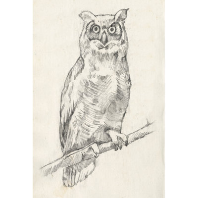 Portrait de hibou I