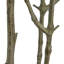 Faux Pieris Tree-Faux Pieris Tree-8'