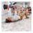 Collection Contemporary Area Rug-259326865