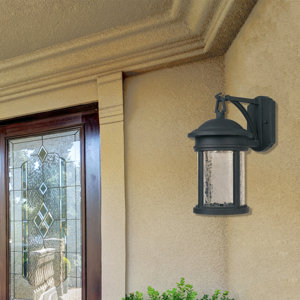 Criton 1-Light Outdoor Wall Lantern