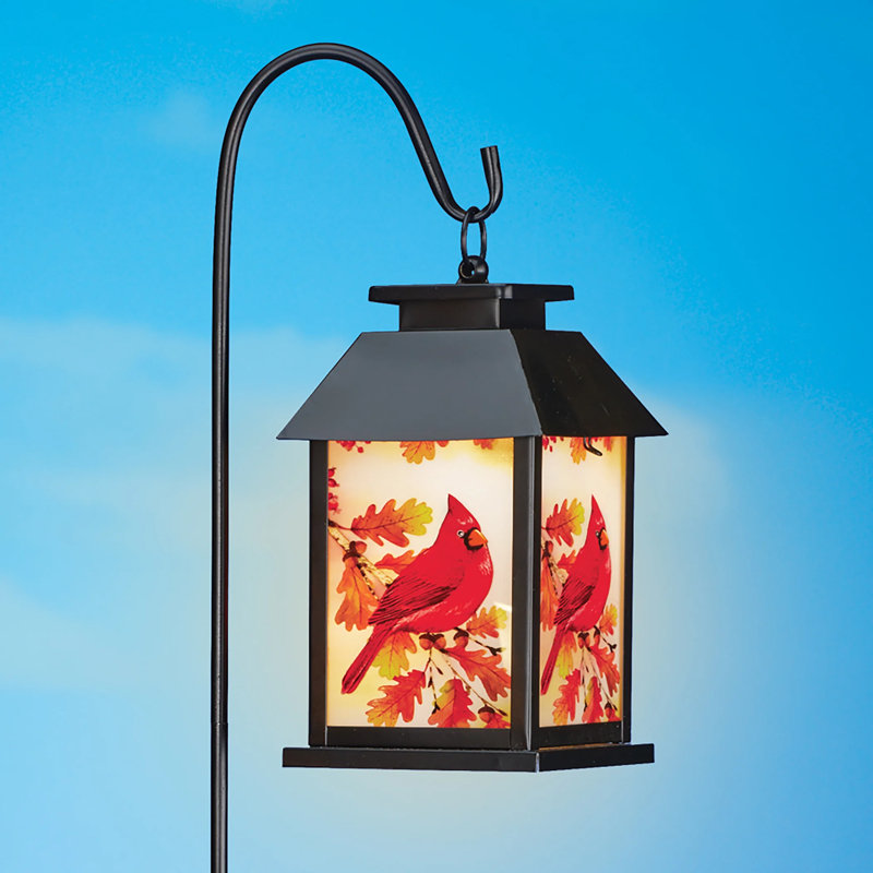 Solar Powered Autumn Cardinal Lantern with Shepherd's Hook