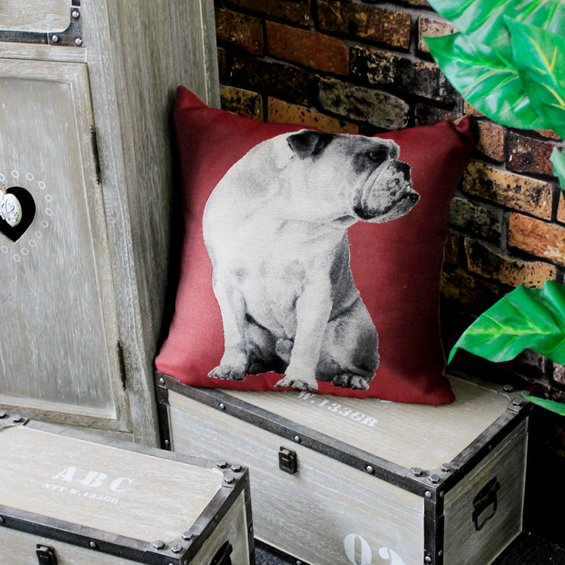 Coussin décoratif 