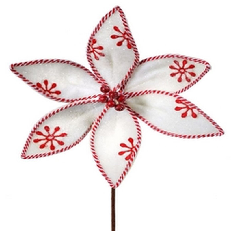 Poinsettia