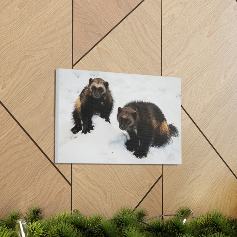 No Frame Print on Canvas, 27.94cm H x 35.56cm W