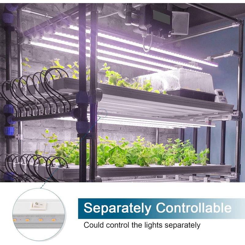 Barrina 2FT Pinkish White Full Spectrum LED Grow Light Set