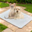 Tapis de refroidissement en soie glacée pour chien Summer Cool-1920502333-1920502334